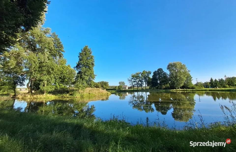Działka na dom gmina Aleksandrów Łódzki Zgniłe Zgniłe Błoto sprzedam