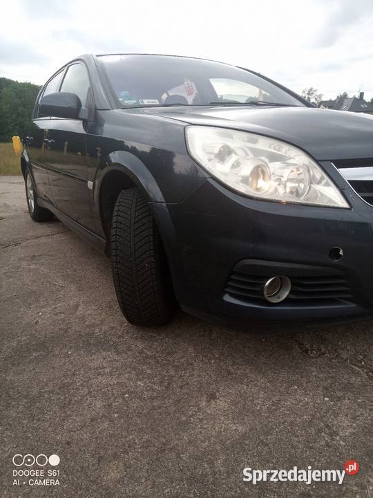 Sprzedam Opel Signum Lpg Przęsocin
