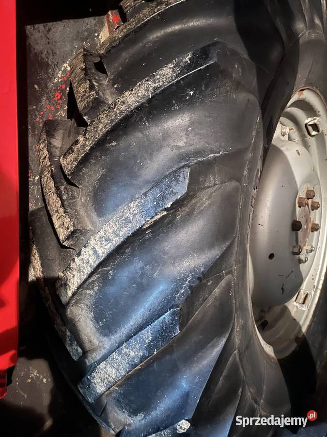 Massey Ferguson 565 1985 stanie Czermno