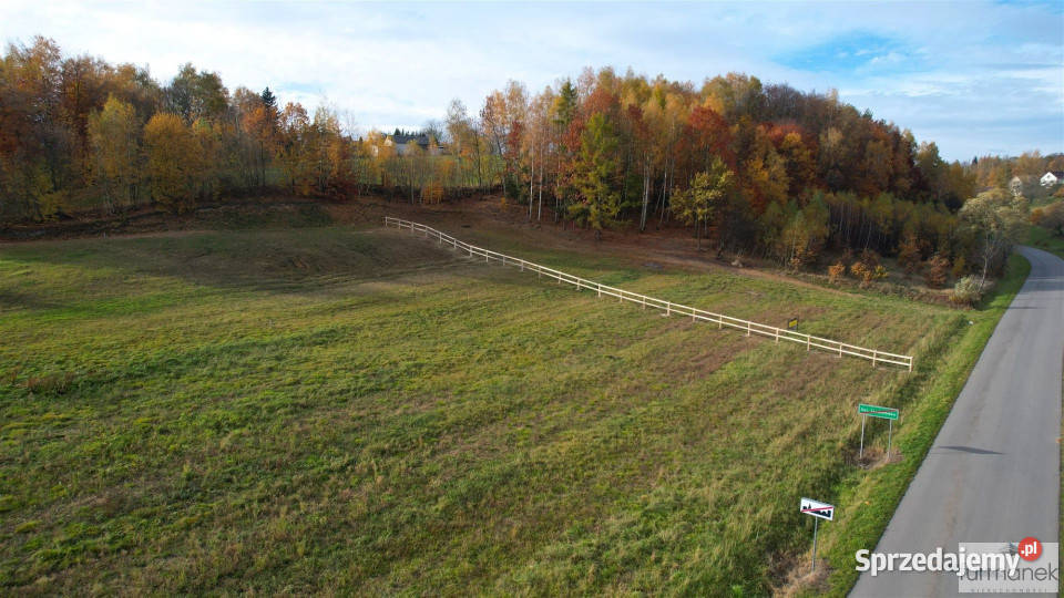 Sprzedaż działki TeodorówkaKolonia 2636m2 woda lubelskie Teodorówka-Kolonia sprzedam