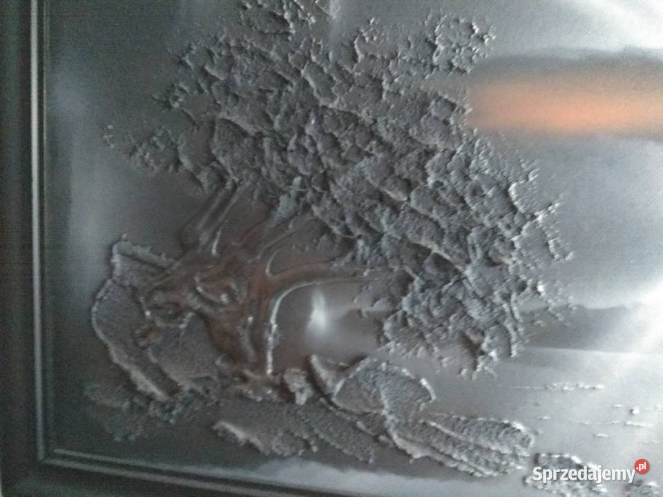 Obraz czarny Kobiór