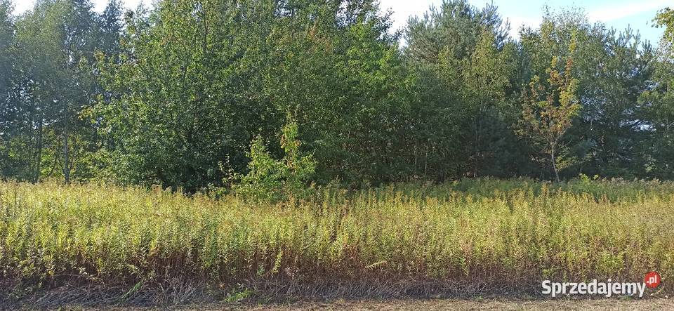 BEZPOŚREDNIO WŁAŚCICIEL Sprzedam Działkę 1500 m2 Otwock