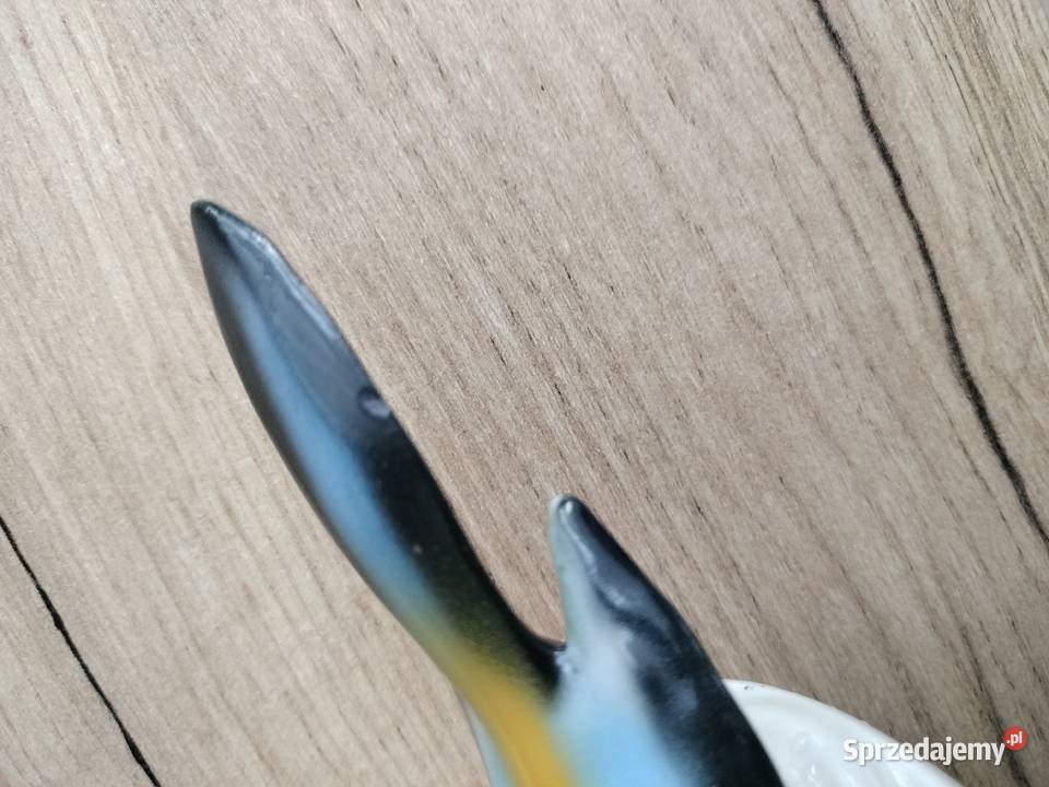 Popielniczka ptaszek Chodzież zachodniopomorskie Choszczno