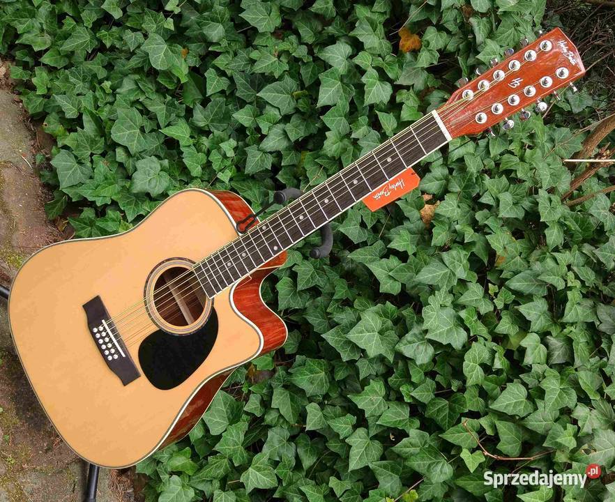 Nowa gitara elektro akustyczna 12 strunowa HB D-200CE-12NT