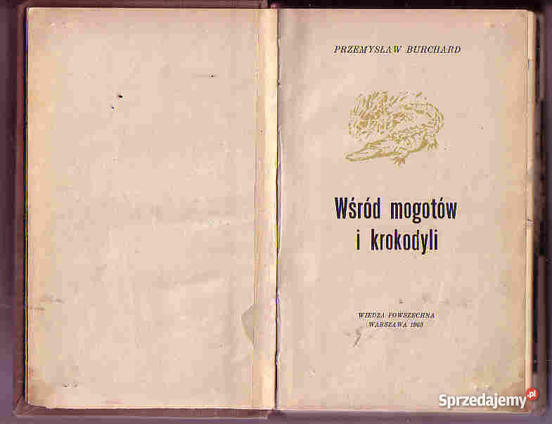 3485 WŚRÓD MOGOTÓW I KROKODYLI PRZEMYSŁAW BURCHA