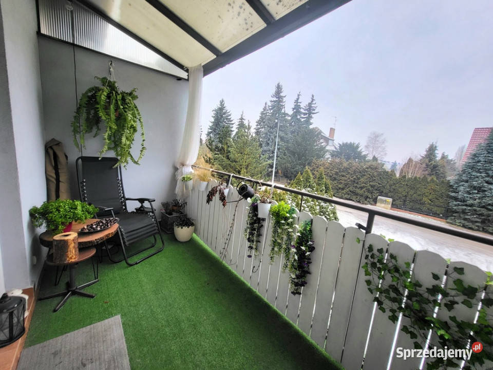 Szeregowiec 5 pokojowy na Gumieńcach 8928zł/m2 Szczecin