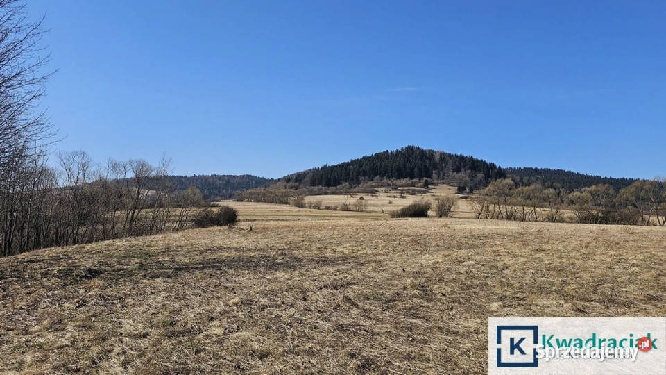 Sprzedaż gruntu Jaśliska 3091m2 42zł/m2