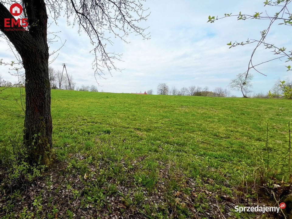 Sprzedaż działki Nowe Aleksandrowo 13000 metrów