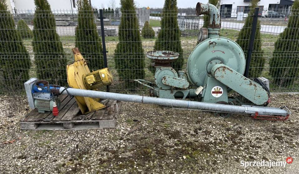 Żmijka 35m nieuszkodzony Łachów