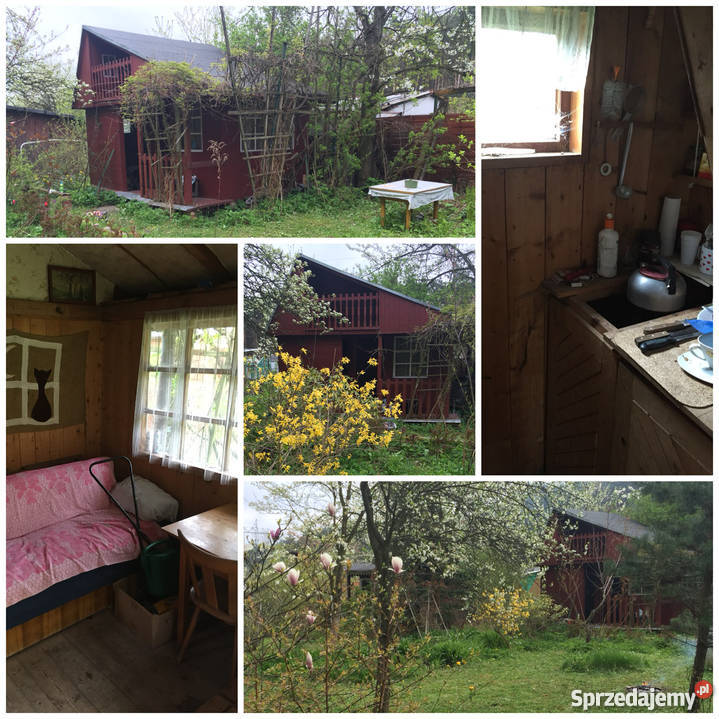 Ogródek działkowy Starachowice rekreacyjna świętokrzyskie Starachowice