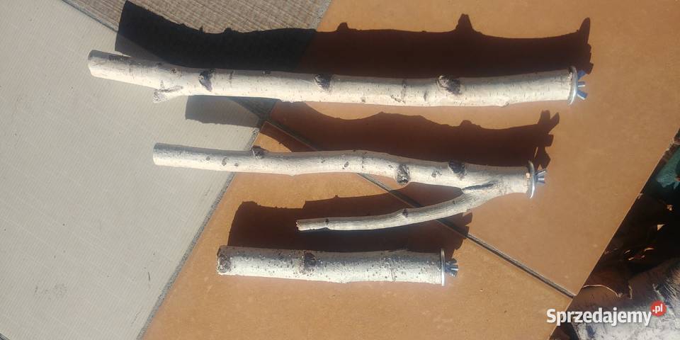 Żerdzie brzozowe z mocowaniami papug Ruda Śląska