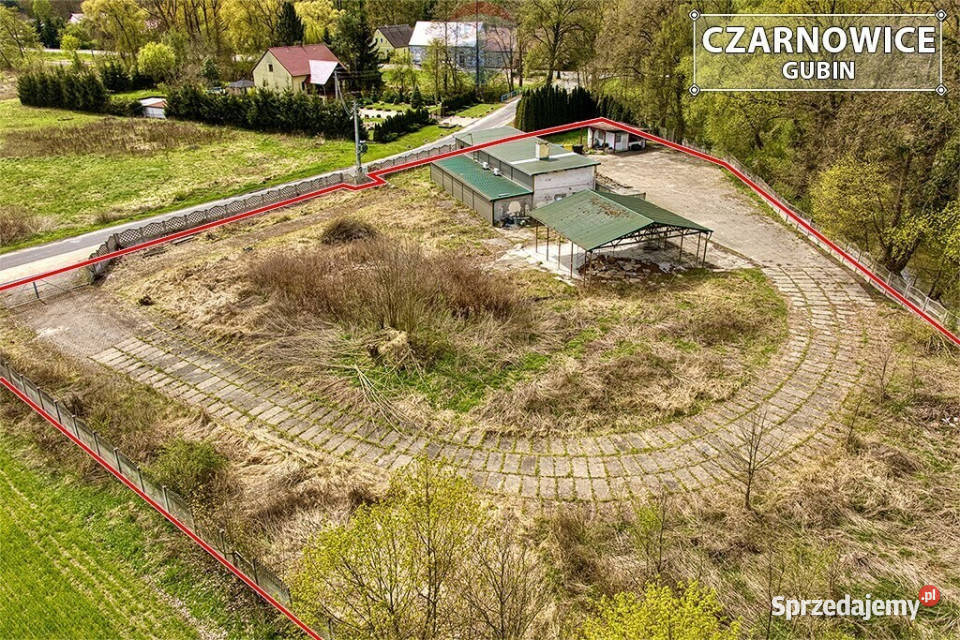 Nieruchomość inwestycyjna z halą magazynową Czarnowice