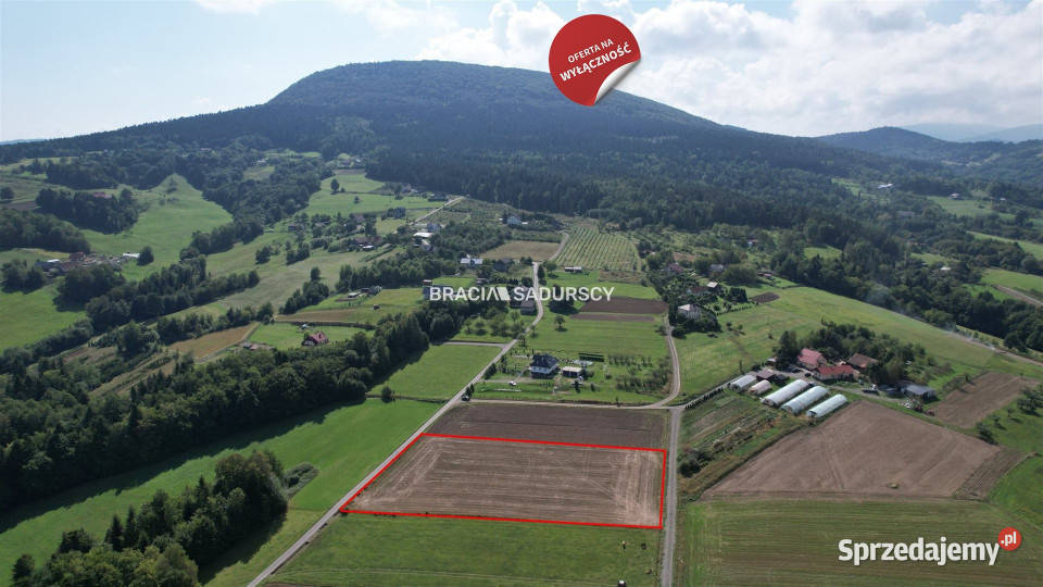 Do sprzedaży grunt Szyk 6023m2