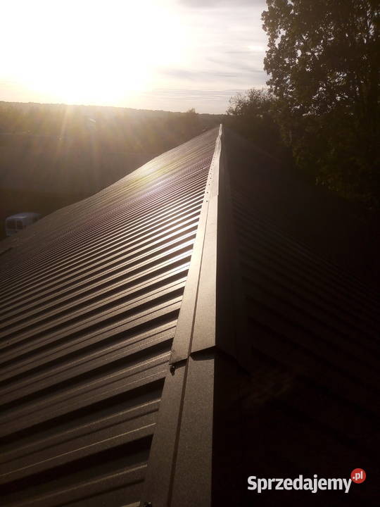 Usługi ciesielskie dekarskie budowa więźby