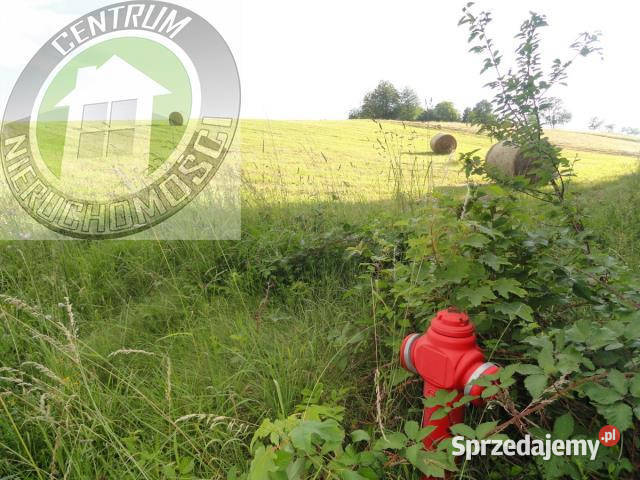 Grunt Mogilno 900m asfalt sprzedam