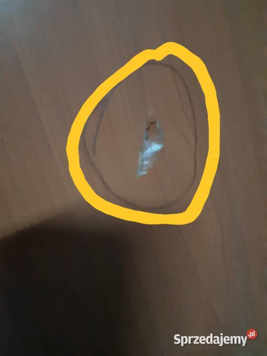 Skrzydło drzwiowe drzwi pokojowe 80L uszkodzone Łęczna sprzedam