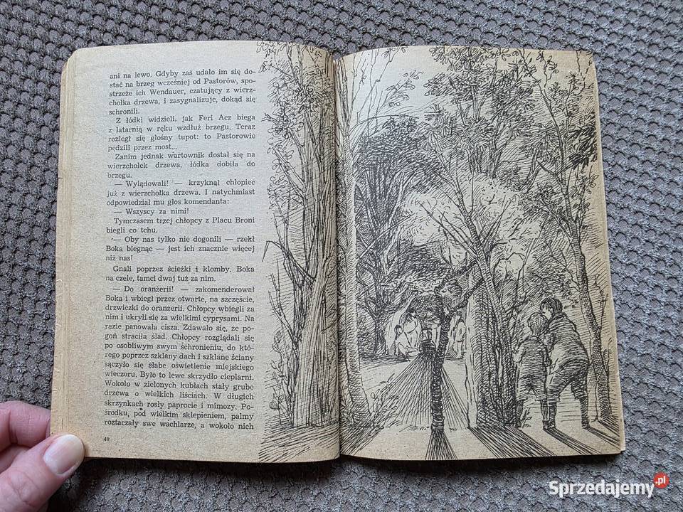 Chłopcy z Placu Broni Ferenc Molnr Kraków