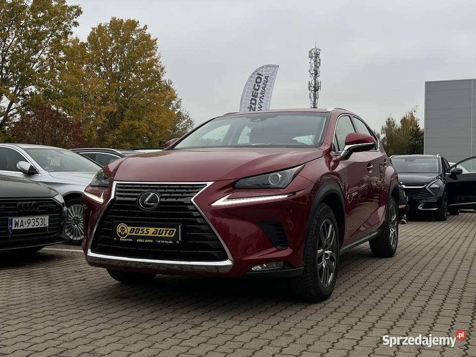Lexus NX 300 2019 1998cm3 Warszawa