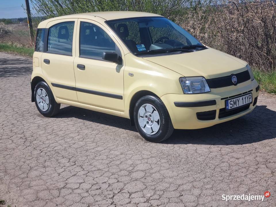 Panda BenzynaGaz Panda