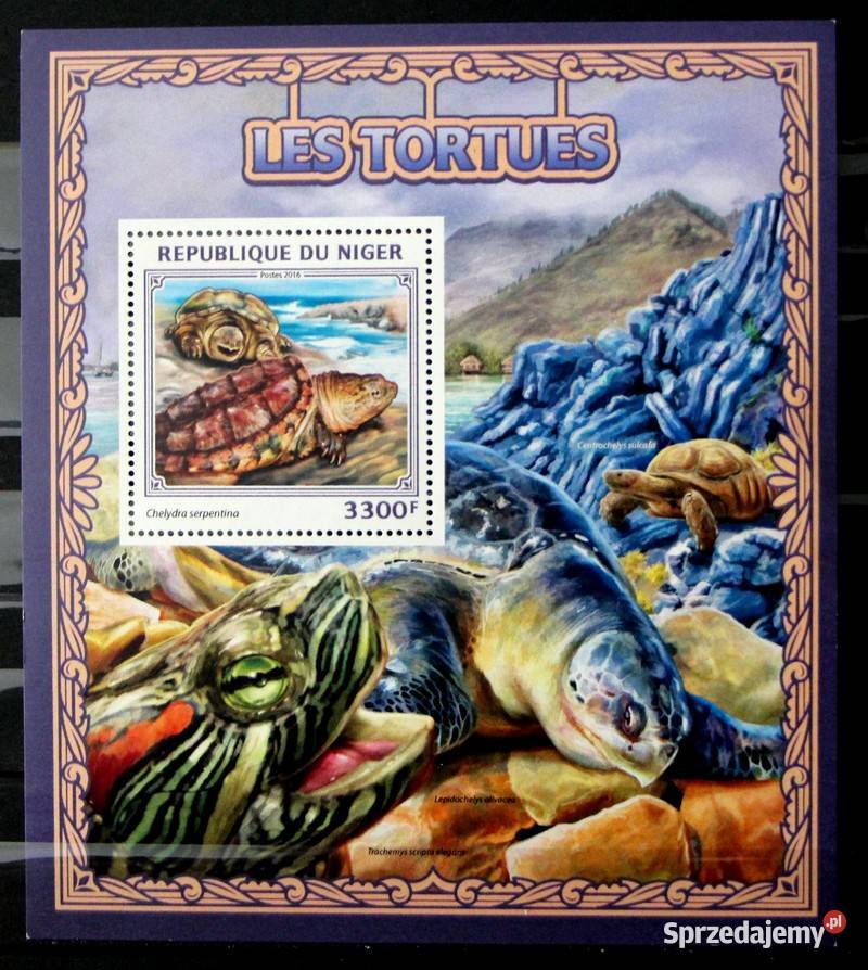 Niger żółw Oborniki