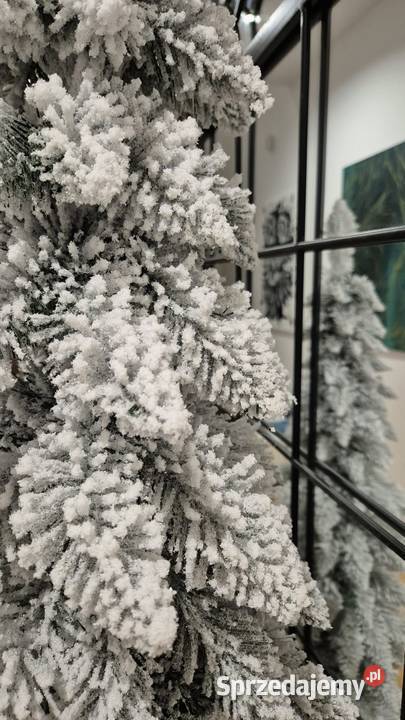 Ch SLIM śnieg 75 śląskie Koziegłowy sprzedam