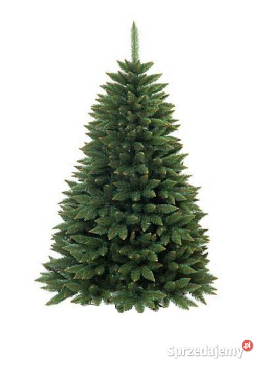 CHOINKA Sztuczna ŚWIERK KAUKASKI 220 Dekoracja Elbląg