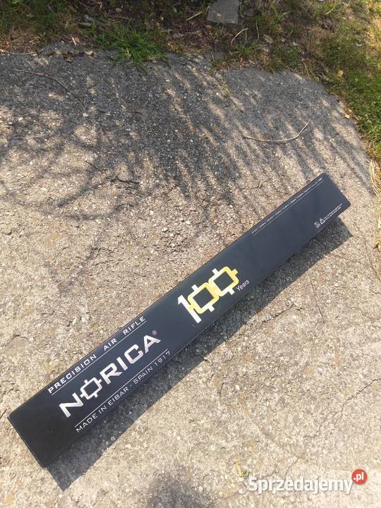 Norica dream Hunter Czerwionka-Leszczyny