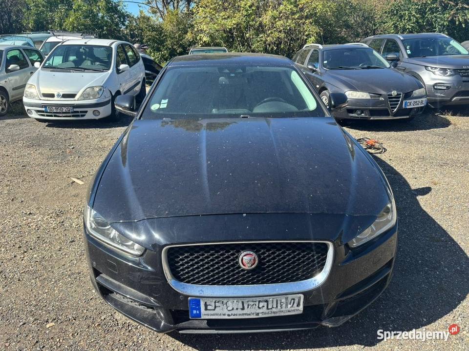 Jaguar XE XE Płońsk