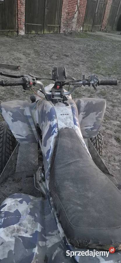 Quad bashan chłodzony cieczą pług do odśnieżania kujawsko-pomorskie Kruszwica