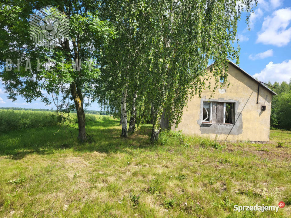 Działka do sprzedania Elżbietów 6400m2 118m