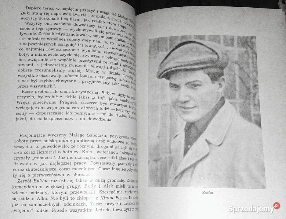 Kamienie na szaniec Aleksander Kamiński Chełm sprzedam