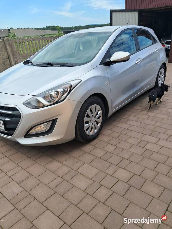 Hyundai i30 zadbane i pewne auto Lechów