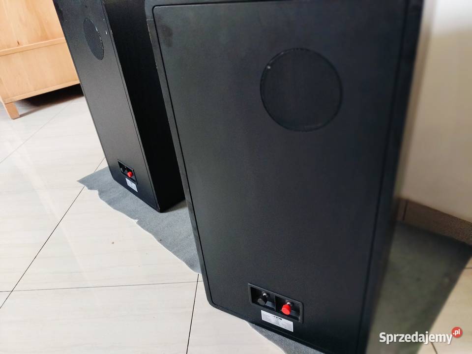 Canton CT1000 Rurzyca