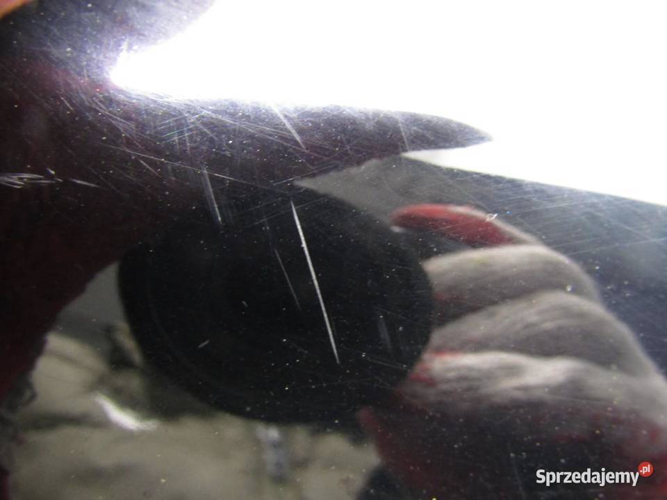 LUSTERKO PRAWE 7 PIN NH731P HONDA CRV CRV IV