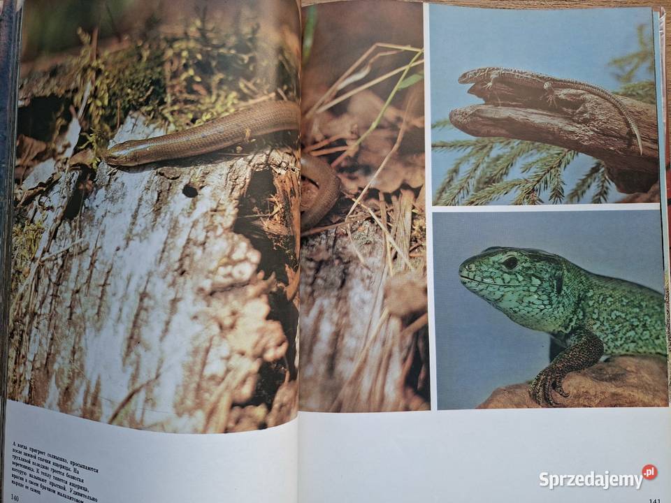 Darwinskij park narodowy