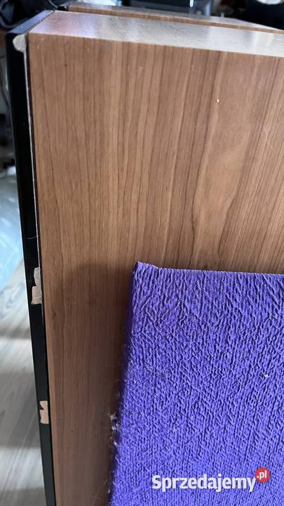 Kolumny Dali 505 uszkodzone zawieszenie do Audio dolnośląskie Wrocław