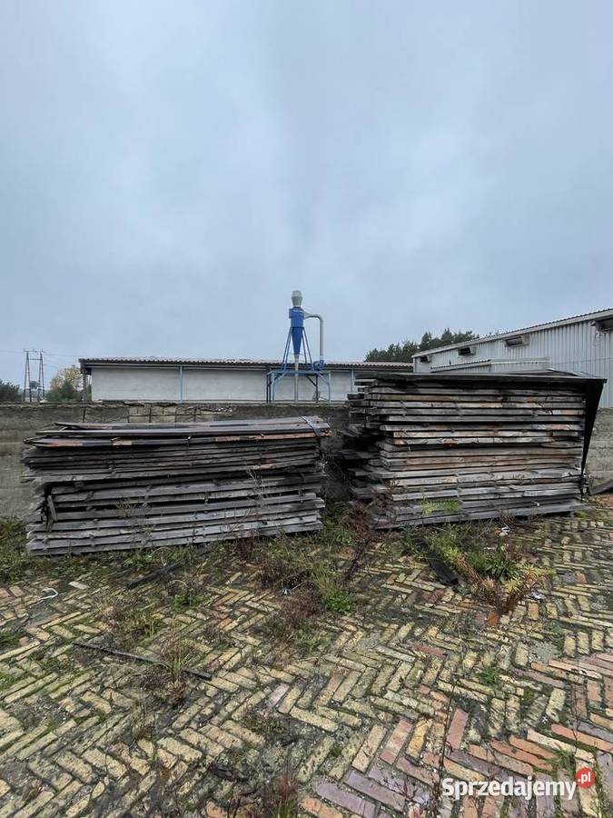tarcica bukowa deski Gubin