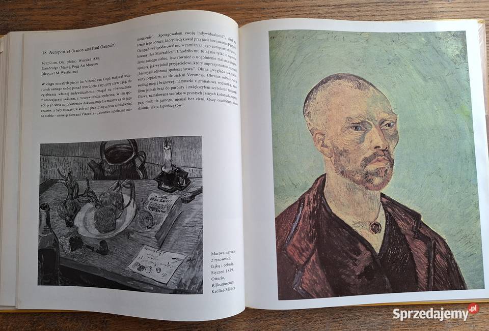 W kręgu sztuki Vincent van Gogh Arkady