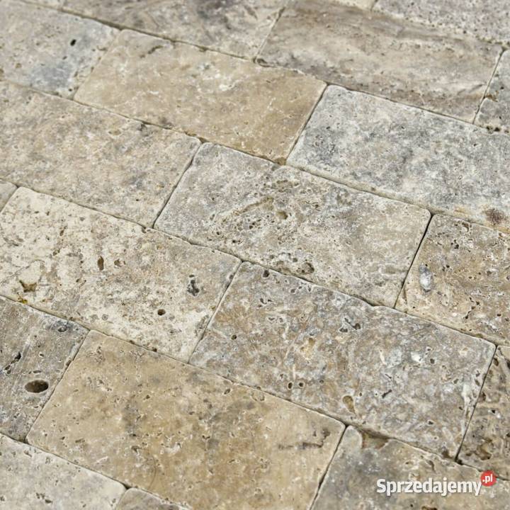 Płytki Trawertyn Silver Ash bębnowany 152x75x1 Gdynia