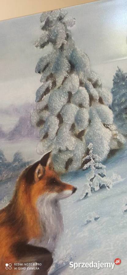 Olbrzymia Patera Lis i cietrzew
Syg F L Eklund pomorskie Gdańsk