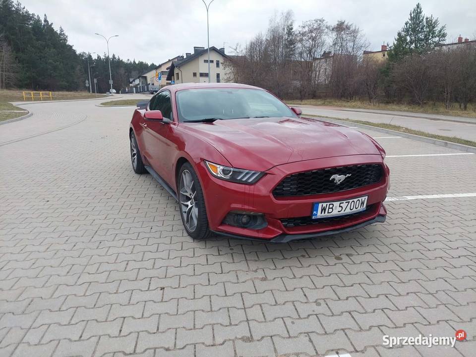 Ford Mustang Premium benzyna Mustang Warszawa