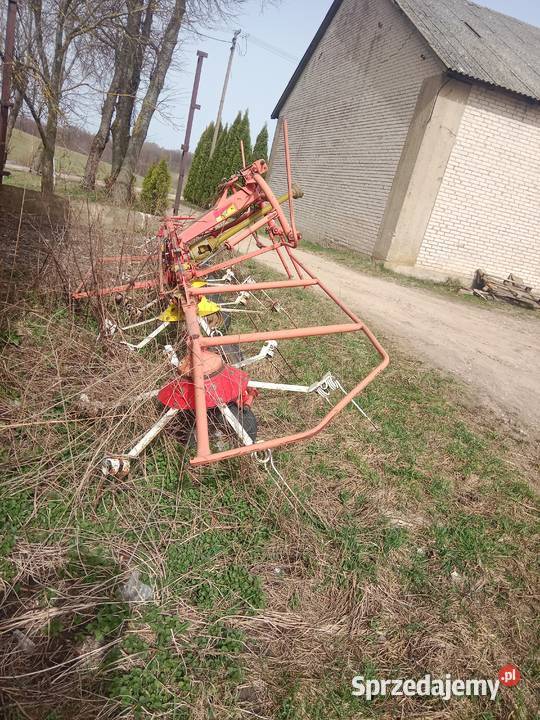 pottinger n 69 Suwałki