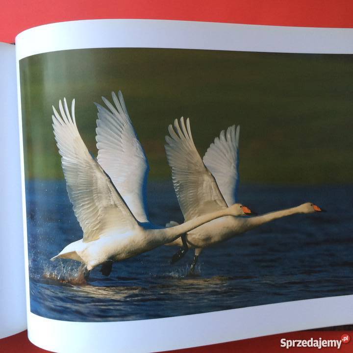 1087 Zachodniopomorskie Perły Przyrody Szczecin