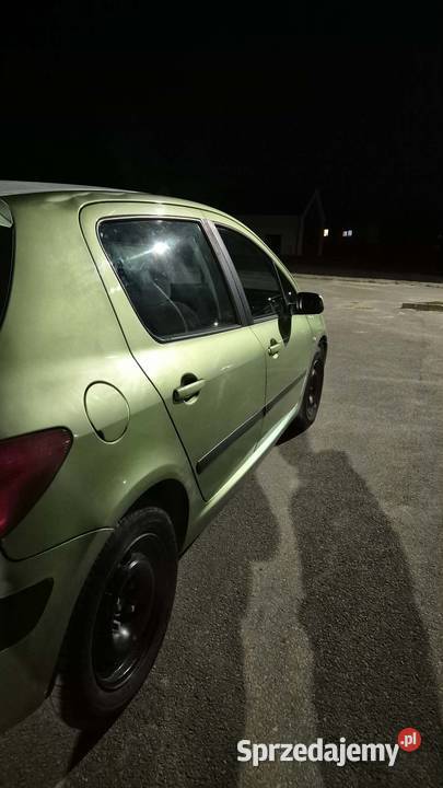 Peuegot 307 20hdi Rzeszów