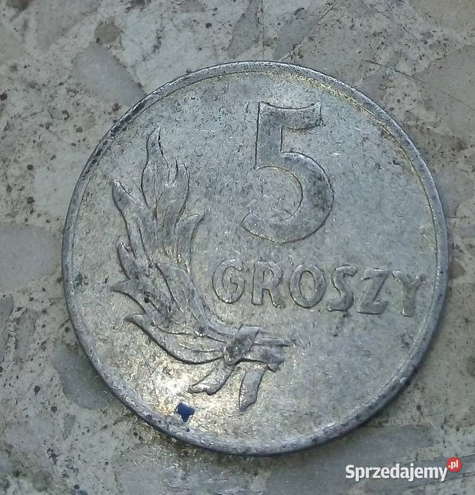 POLSKA 5 GROSZY 1949 rbzALRZADKA Legionowo