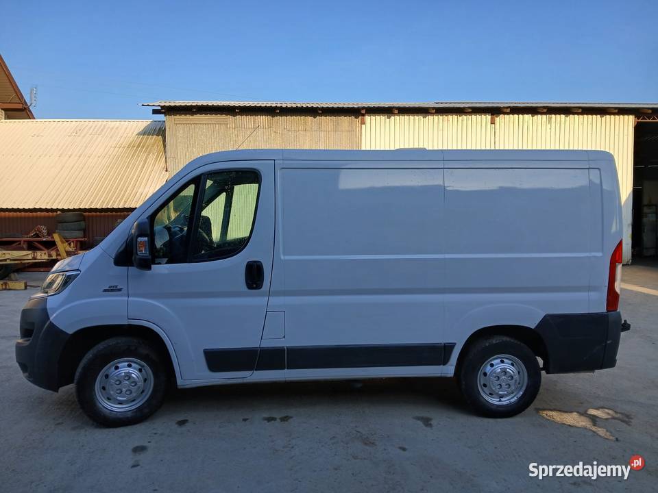 Fiat Ducato manualna Fiat Miechów