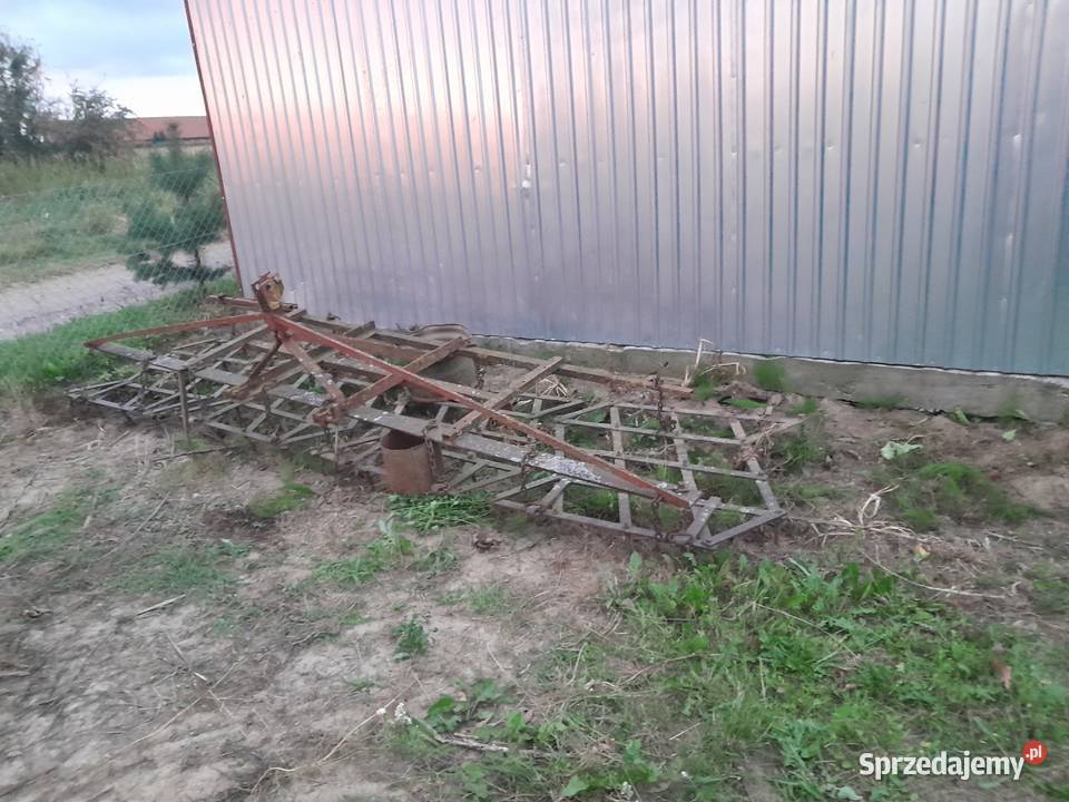 Brony czteropolowe 14mm Dąbrówka Królewska