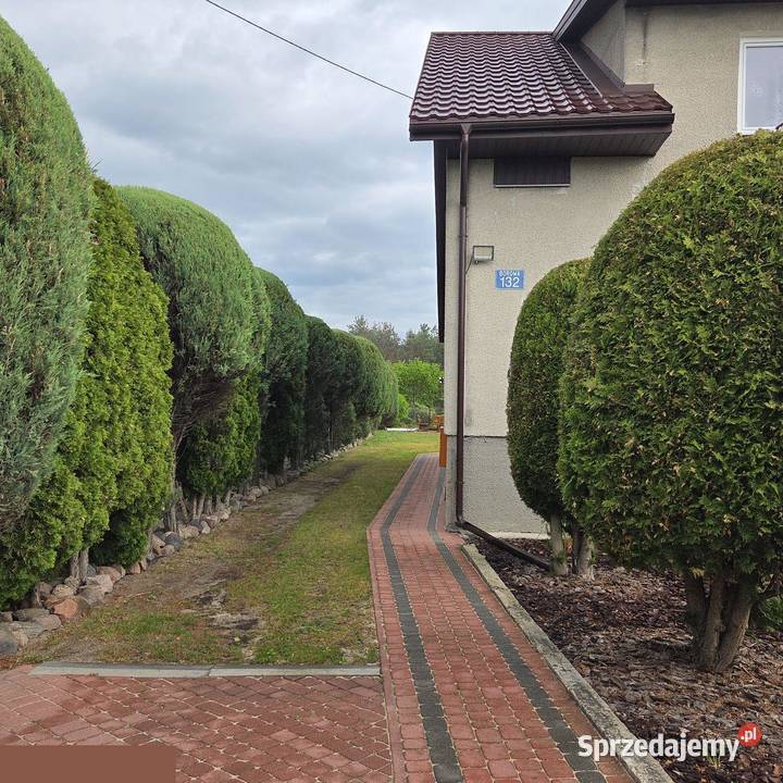 Dom jednorodzinny gotowy do zamieszkania Borowa