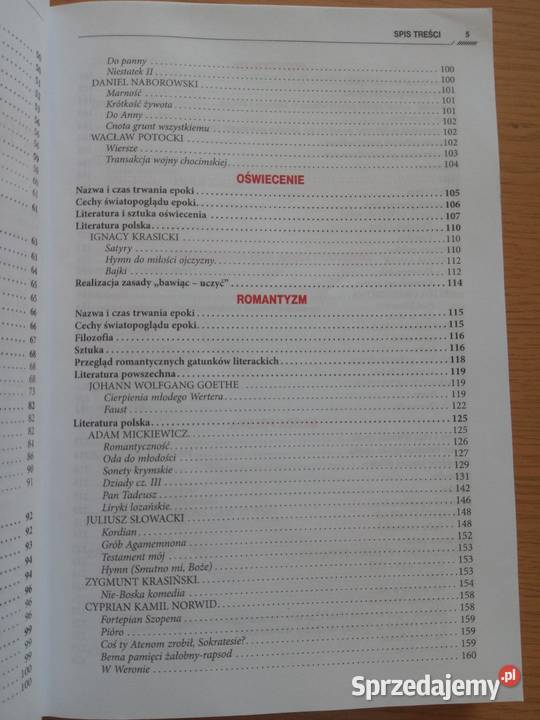 Repetytorium maturzysty Język Polski kompendium, repetytorium, opracowanie Dąbrowa Górnicza