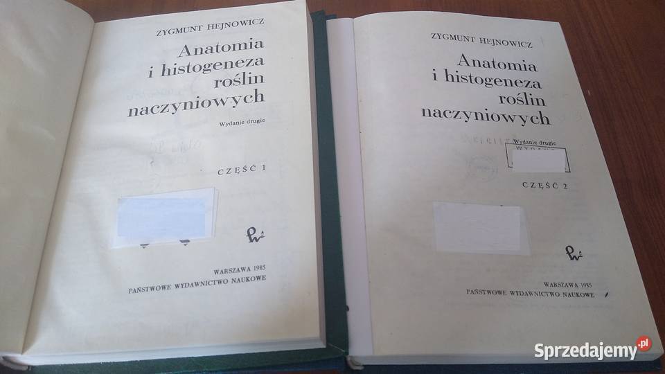 Anatomia i histogeneza roślin naczyniowych 12 Gdańsk